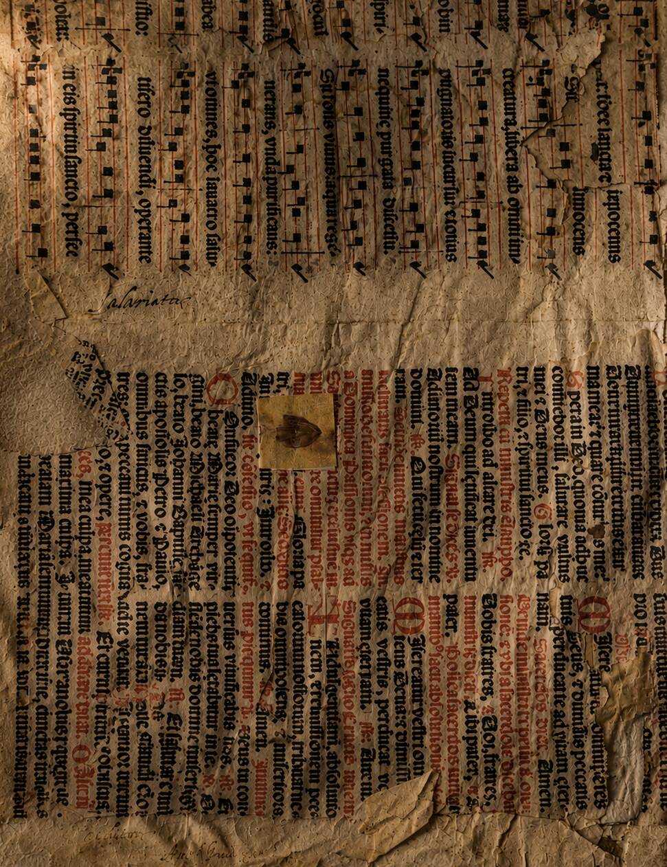 Story Image